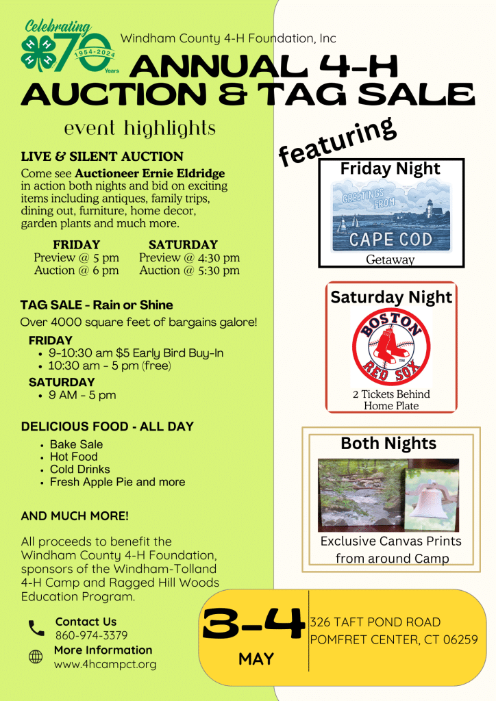 Auction and Tag Sale - Windham-Tolland 4-H Camp